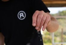 무더위의 끝자락, 더위를 잊게 하는 실내 활동으로 여름을 마무리하는 방법 a man sprinkling cheese on top of a pizza