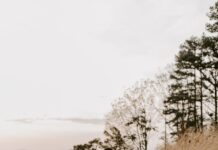가을철 건강을 위한 야외 운동의 매력 woman in black jacket standing on brown grass field during daytime