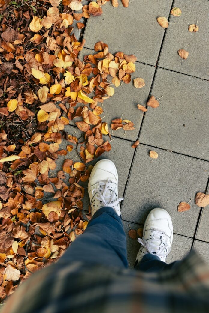 Photo by Nikita Pishchugin A person standing on a sidewalk surrounded by leaves