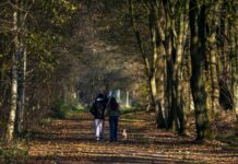 ‘걷기 챌린지’, 건강 트렌드로 자리잡다…실천 루틴과 팁 소개 Two people walking down a path in the woods
