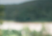 “스트레스, 이제는 일상 속 작은 실천으로 관리하세요” a cup of tea and a cell phone on a table