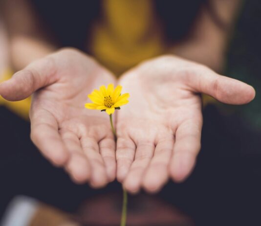 ‘마음챙김 걷기’, 일상 속 스트레스 해소법으로 주목 selective focus photography of woman holding yellow petaled flowers