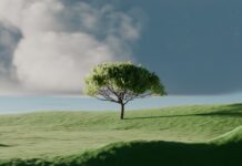 ‘마음 챙김’과 일상 휴식, 건강 관리의 새로운 열쇠로 떠오르다 A single tree on a vibrant green rolling hill.