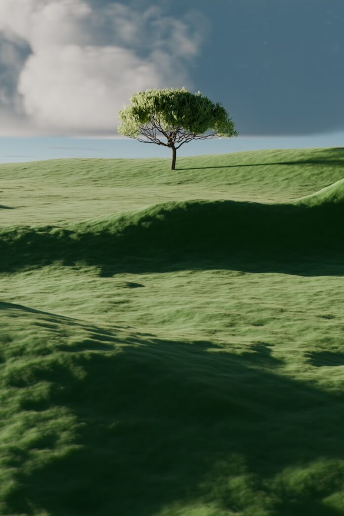 A single tree on a vibrant green rolling hill.