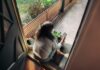 만성피로, 일상 속에서 벗어나는 새로운 습관 찾기 Woman sitting on balcony with smartphone