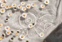 삶에 스며드는 웰니스 문화… 일상 속 실천법은? white and blue floral textile