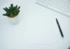 웰니스 문화, 일상 속 작은 변화로 건강한 행복 찾기 green cactus plant on white table