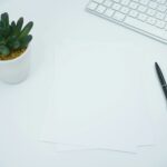 웰니스 문화, 일상 속 작은 변화로 건강한 행복 찾기 green cactus plant on white table