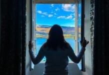 스트레스, 일상 속 작은 변화로 효과적으로 관리하기 a person looking out a window